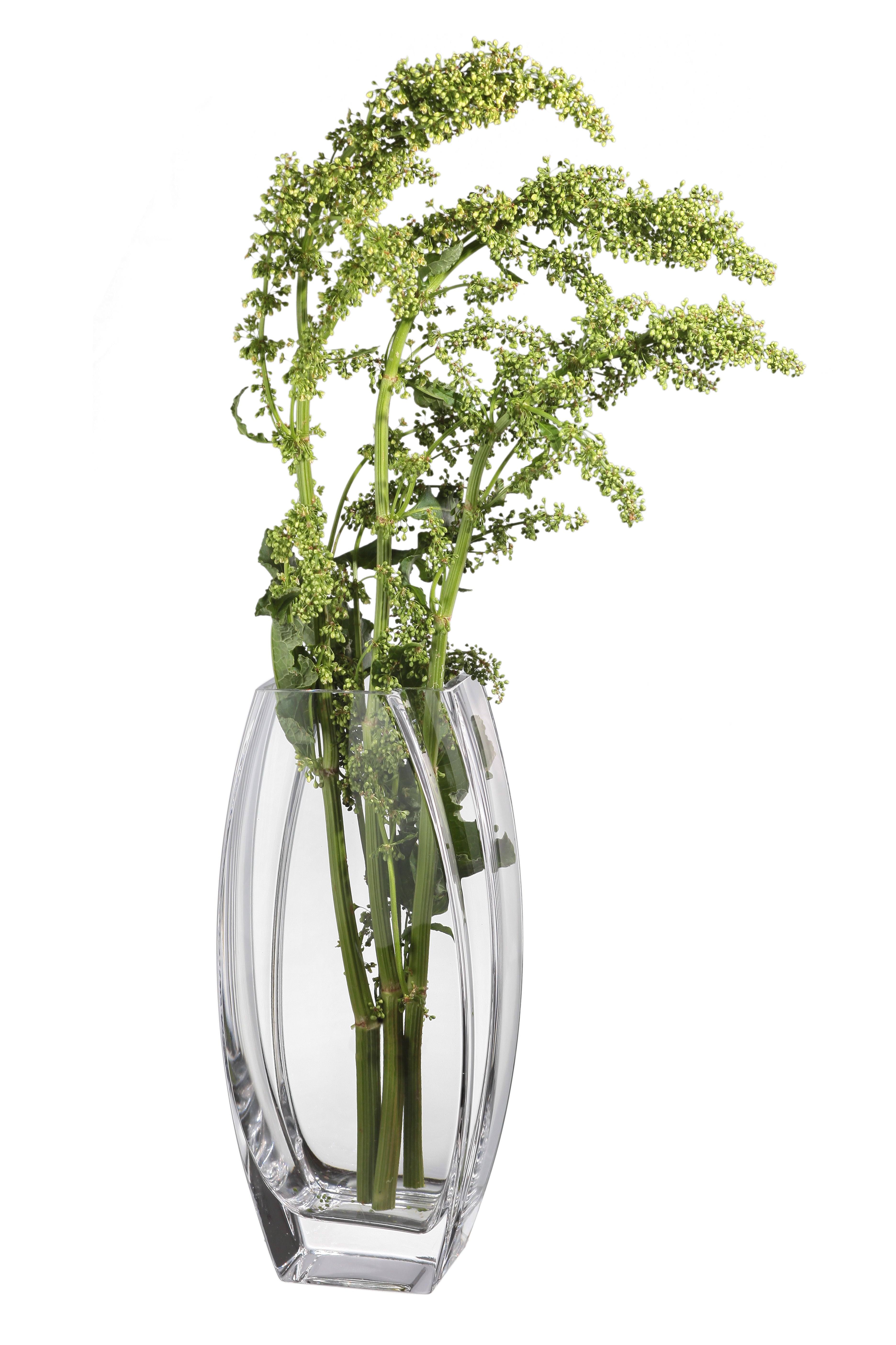 A210-12-CLRPrecisionVase12_HClearFLOWERS_b5eb6c60-2a04-4e7a-a192-0f8fde7cfe01