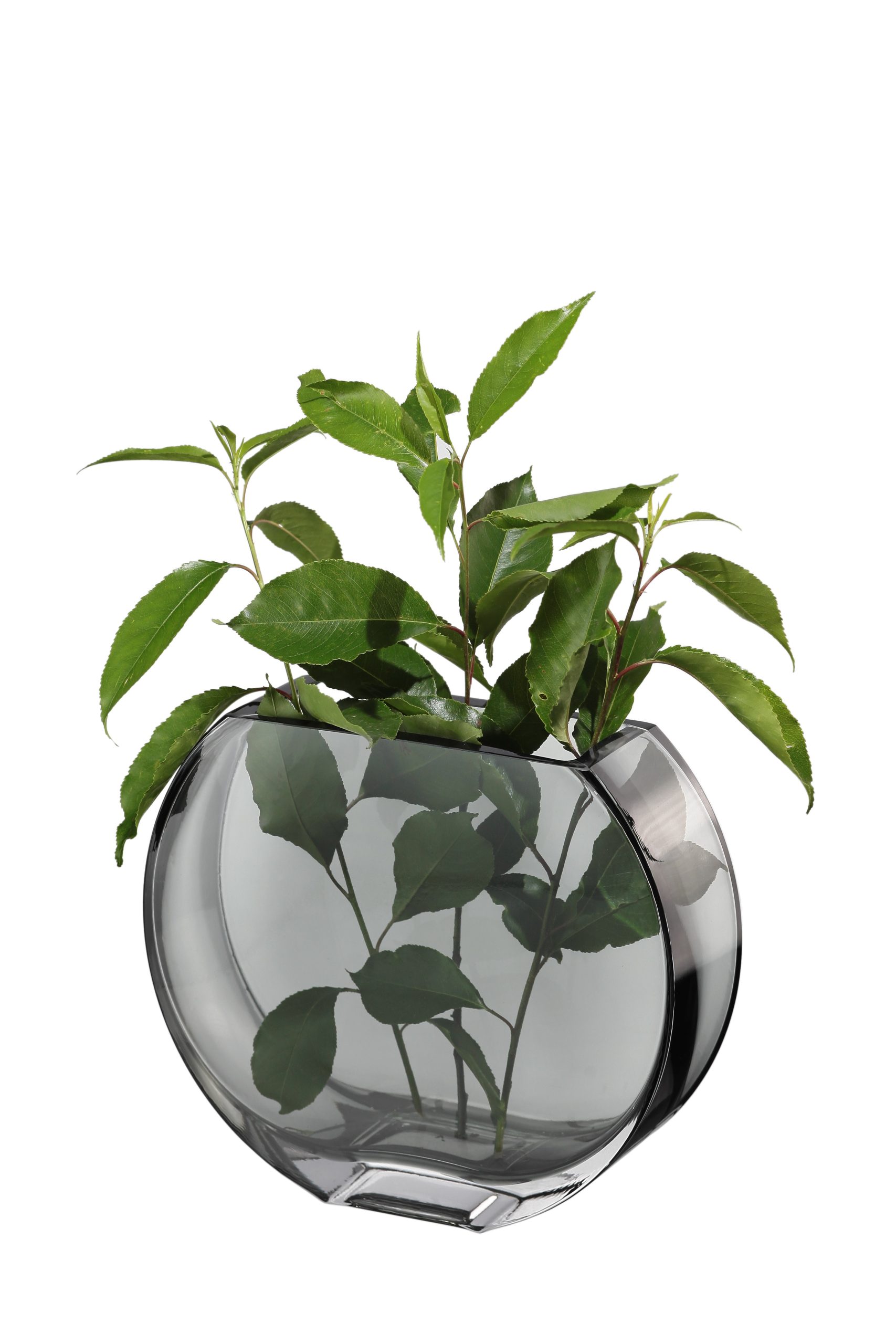 A211-8-GRY_Sphere_Vase_8_H_Transparent_Gray_FLOWERS_f642287a-be74-4804-ac43-1a0c0728181e