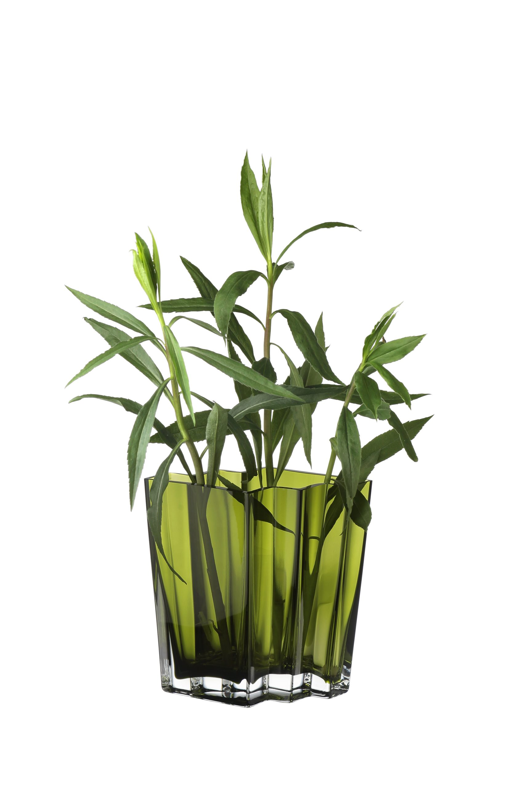 A212-6-GRN_3_1